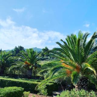 Villa delle Rose - 4