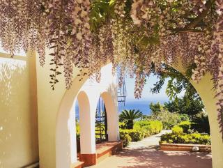 Villa delle Rose - 9