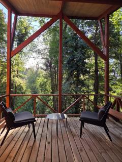 Casa inmersa en bosque de la Reserva Huilo Huilo - 8