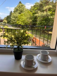 Lamar Władysławowo Cetniewo - 4