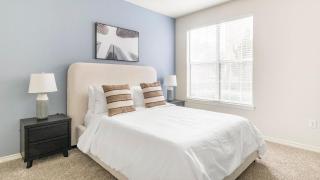 Landing Beautiful 1BD Clubhouse Gym - 4