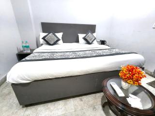 Hotel White Stone' Delhi Anand Vihar railway station - 8