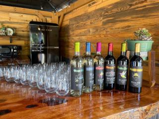 Winery Yurt near Sequoia and Kings Canyon National Parks - 3