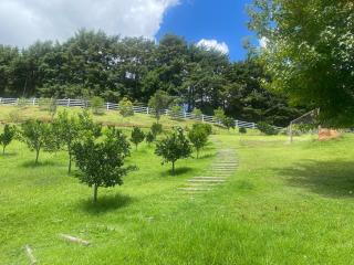Refugio para Familia e Amigos - 9