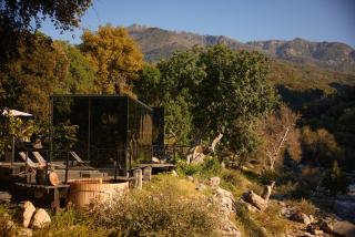 Paradise Ranch Inn- Limitless House Hot Tub,Sauna - 2