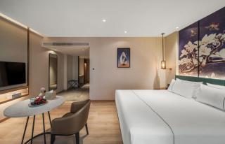 白玉兰商务酒店贵阳观山湖会展城市政府店 - 2