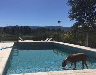 Cabañas frente al Rio - 6