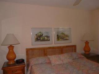 Ocean View Napili Point Condo 1BR - Unit B38 condo - 6