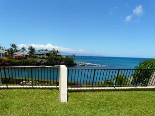 Napili Point Oceanfront Turtle View 1BR - Unit B30 condo - 0