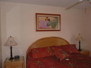 Napili Point Oceanfront Turtle View 1BR - Unit B30 condo - 3