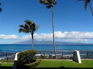 Napili Point Oceanfront Turtle Views - Unit B1 condo - 0