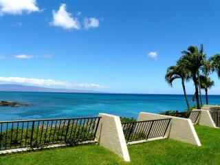 Oceanfront Condo Near Napili Bay 1BR - Unit B19 condo - 9