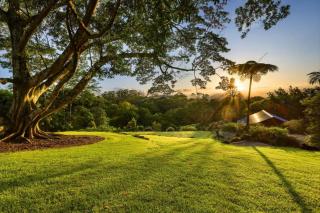 Charlotte Estate Luxury Byron Retreat w Pool Events - 6