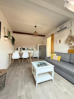 3 pièces centre ville ville pittoresques parking gratuit à 5 minutes à pied - 9