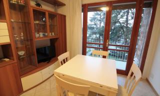 Spacious apartment in Lignano Pineta - 4