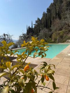 Villa Gianna 3 - Limone sul Garda - 9