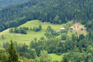 Tourist Farm Arbajter - Resnik - 4