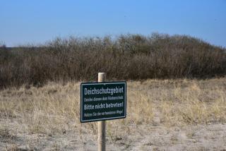 Ferienwohnung Ankerpladsen Opti - 4