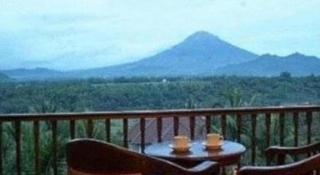 The Oxalis Regency Hotel - 5