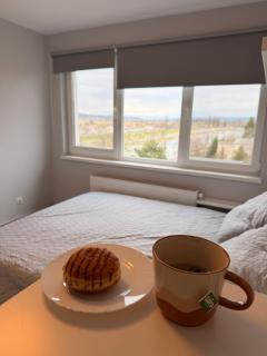 Great View Apartment - Târgu Mureș - 2