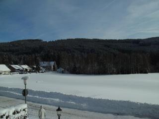 Hotel Rheingold Garni - Titisee-Neustadt - 2