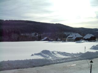 Hotel Rheingold Garni - Titisee-Neustadt - 3