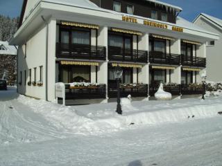 Hotel Rheingold Garni - Titisee-Neustadt - 4