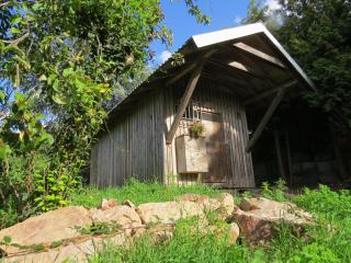 Wildhütte Schinderhannes - 0