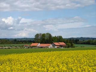 Ranč Telč - 4