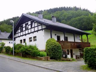 Ferienwohnung Schmallenberg - Schmallenberg - 9