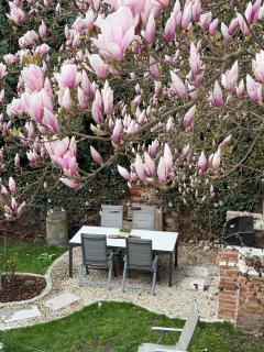 Fewo Sand 10 - Altstadtsuite - Bamberg - 6