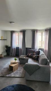Charmant logement hyper centre - 5