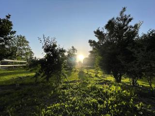 L'Echo de la Nature - 2