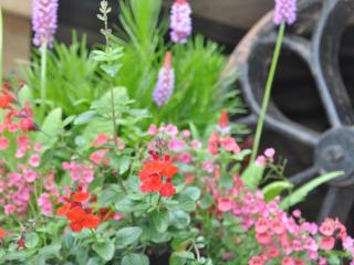 1 Bed in Hereford oc-44235 - 1