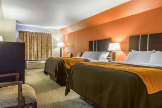 Comfort Inn & Suites - Yorkton - 9