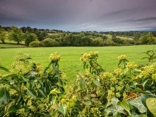 1 Bed in Belper oc-pk919 - 1