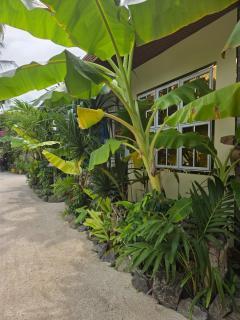 FEHIVILLA RESIDENCE inn - 6