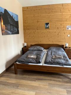 Wellness hotel - Viktorka, herecký dům - 4