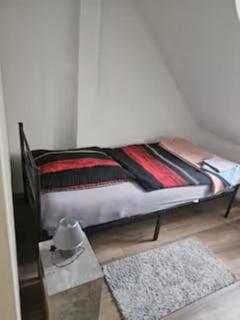 Schöne Vollausgestattete Monteurs- Gästewohnung nähe Raffinerie Leuna und Geiseltalsee 0308 - 6