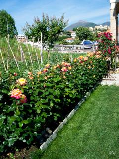 Guest House Arancia145 - 7