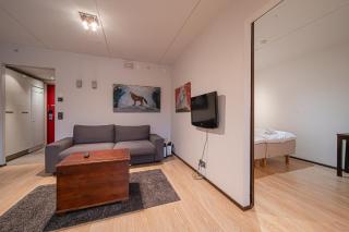 City Centre Apartment Levi - 2