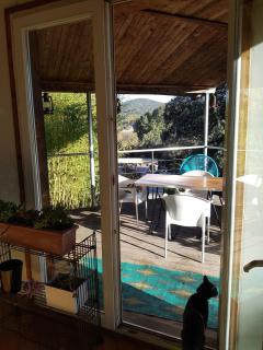 La Maison aux Bambous - 4