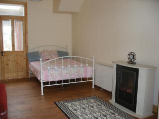 Cooraclare apartment - Cuar an Chláir - 7
