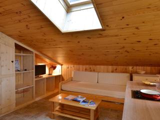 Studio chaleureux, ski aux pieds, animaux admis - FR-1-181-2765 - 2