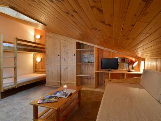 Studio chaleureux, ski aux pieds, animaux admis - FR-1-181-2765 - La Plagne Tarentaise - 2