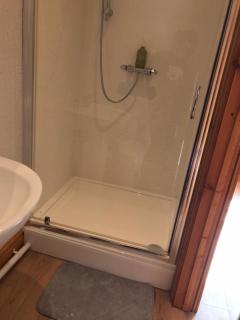 Y Llew Coch Tregaron - 1