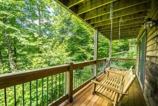 Canopy Escape - 6