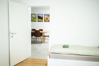 apartma GREEN JOY - 0
