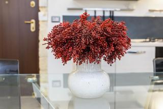 NG Collection Piazza Castello - Sassari - 7