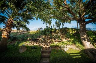 Baja Beach House Pools, Beaches & Ocean View - 5